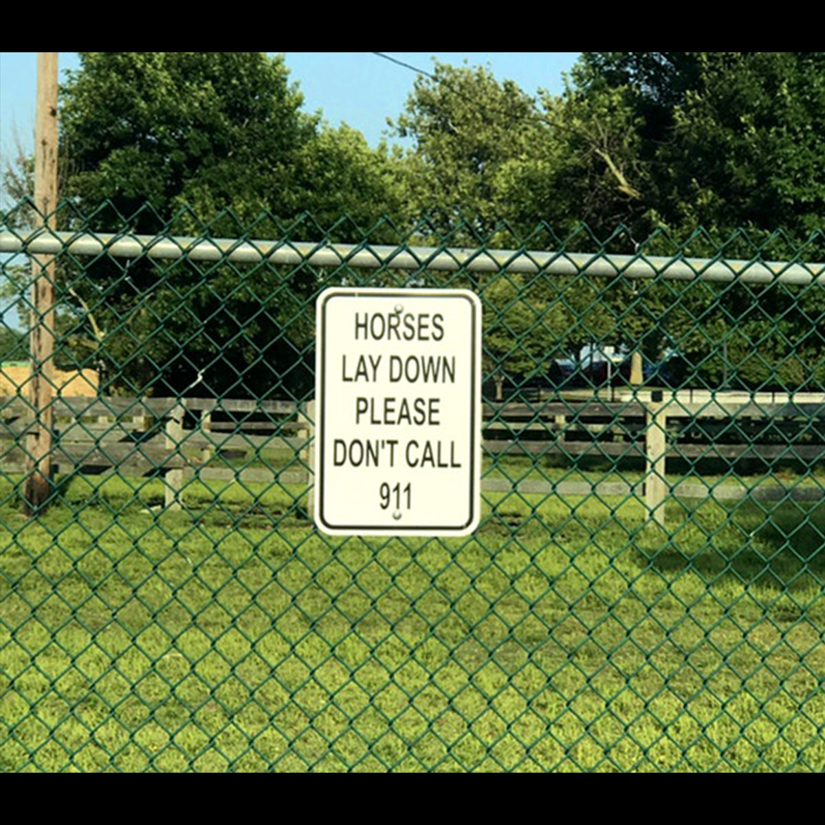 T down please