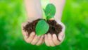 30 Environmentally Aware Earth Day Poster Ideas