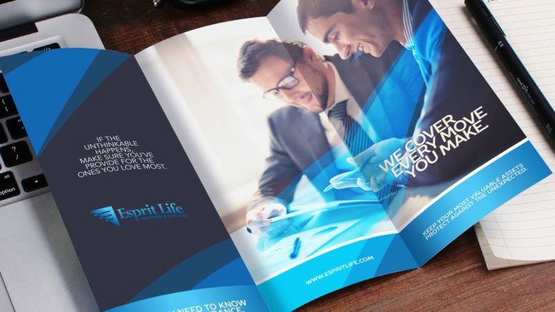 blue brochure featuring a two business executives